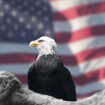 eagle and flag